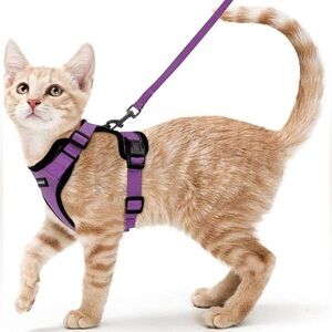 Rabbitgoo purple harness & leash, size XXS, New in Package.